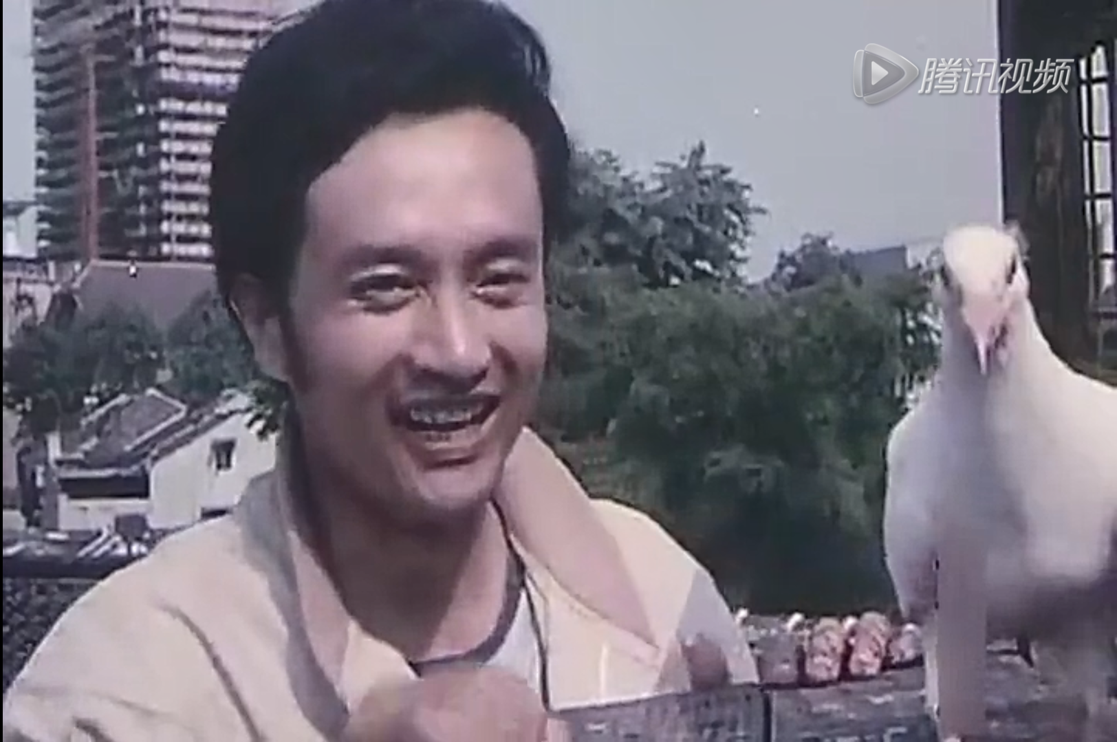 浪花细沙剧照的剧照