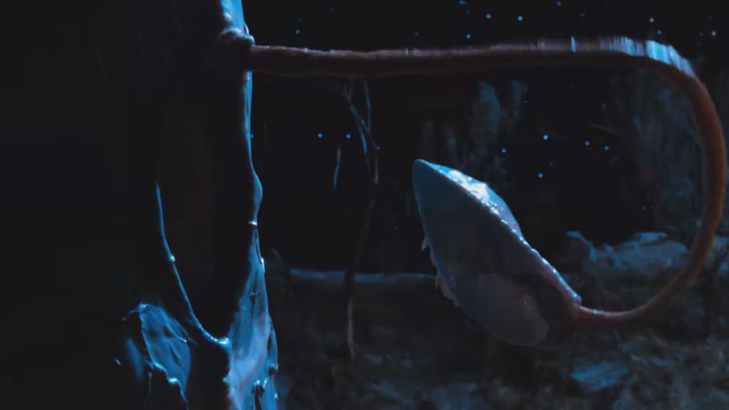 外星人入侵剧照的剧照