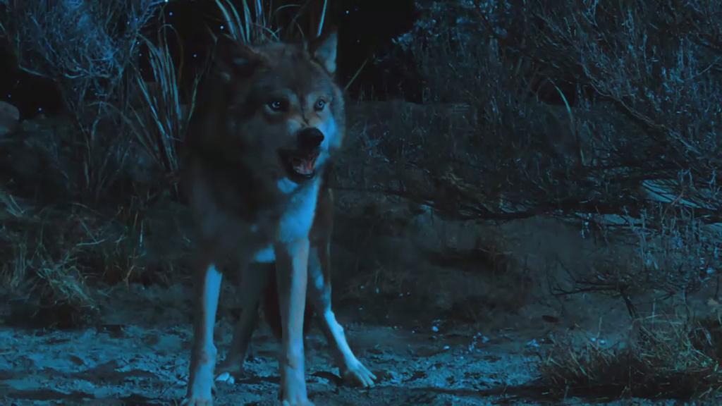 外星人入侵剧照的剧照