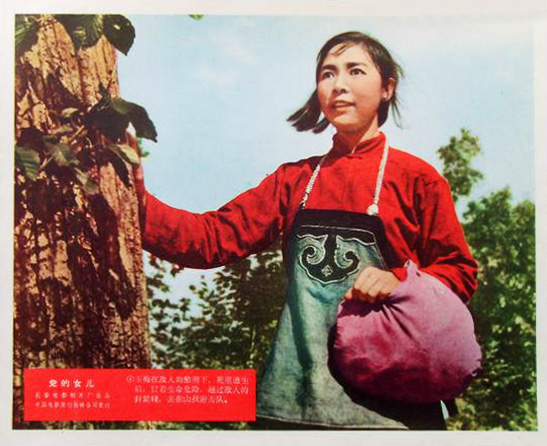 党的女儿剧照的剧照