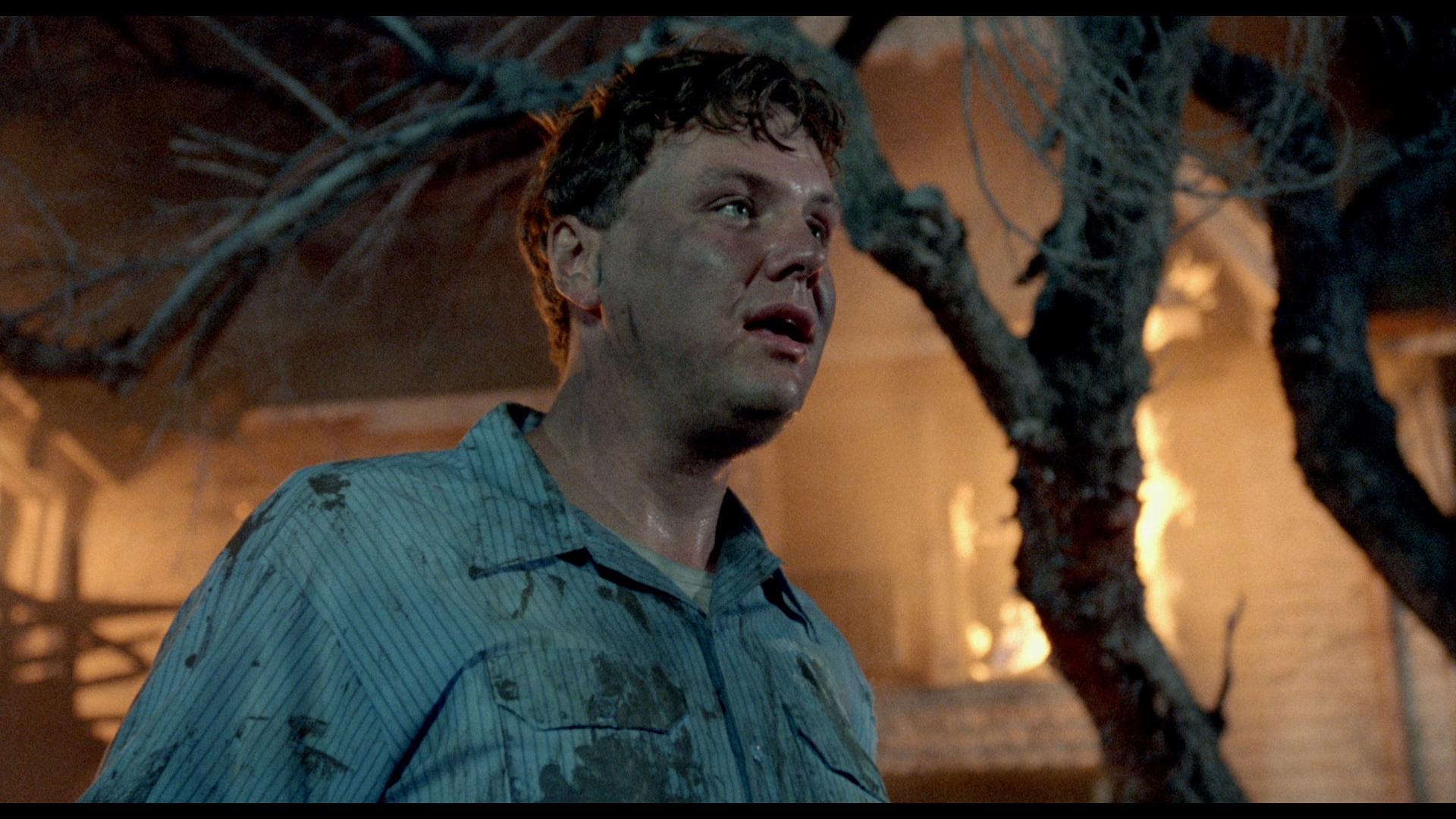 地狱来的芳邻剧照的剧照