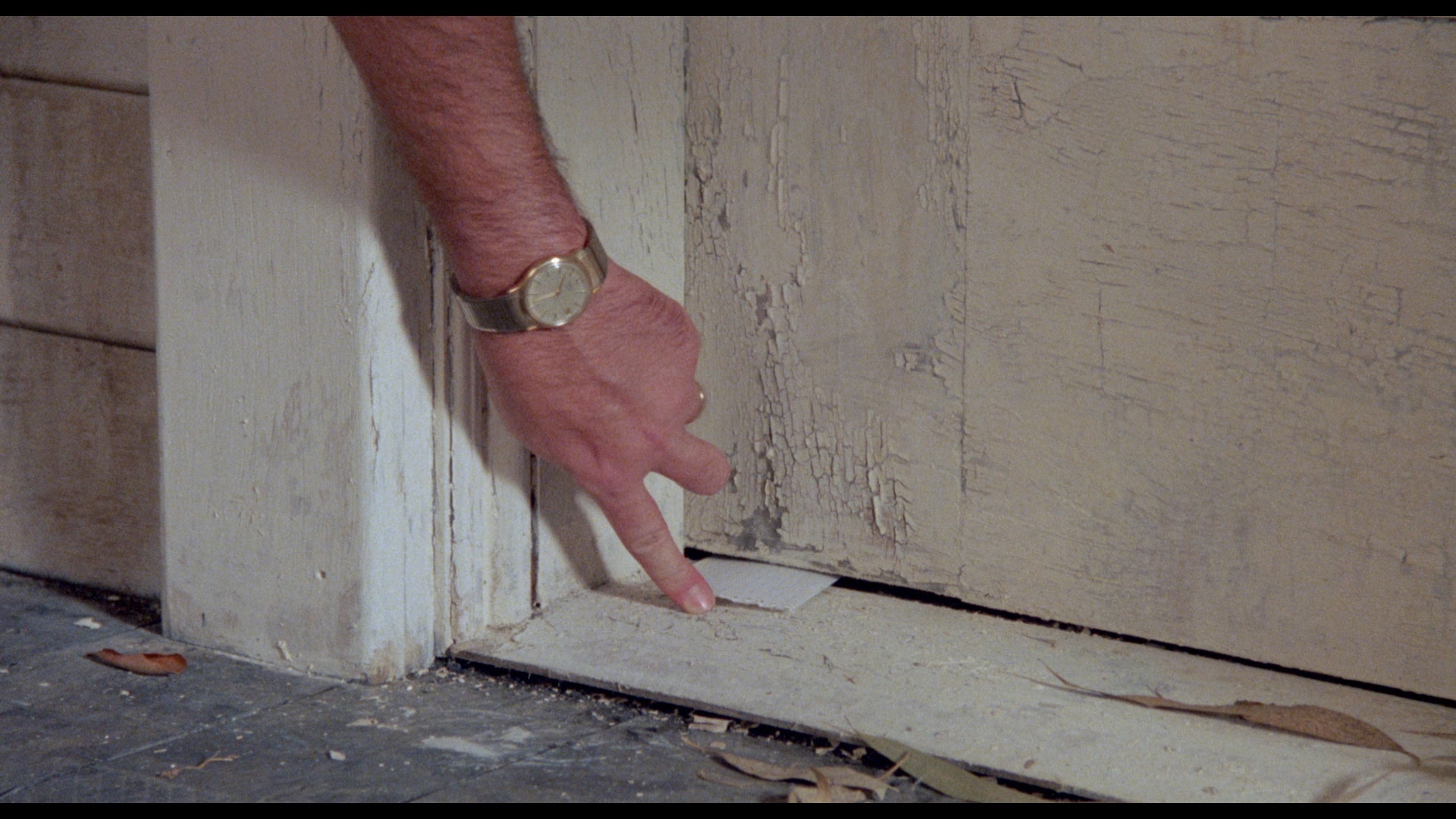 地狱来的芳邻剧照的剧照