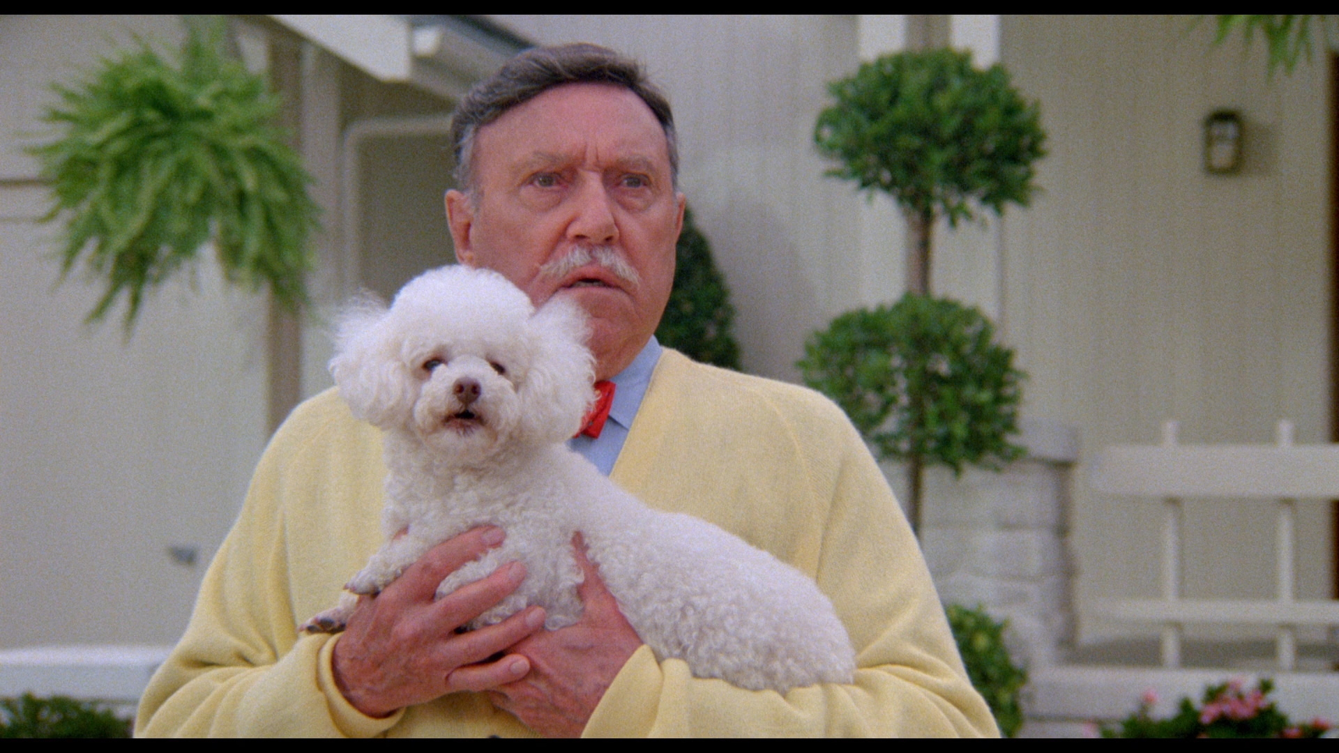 地狱来的芳邻剧照的剧照