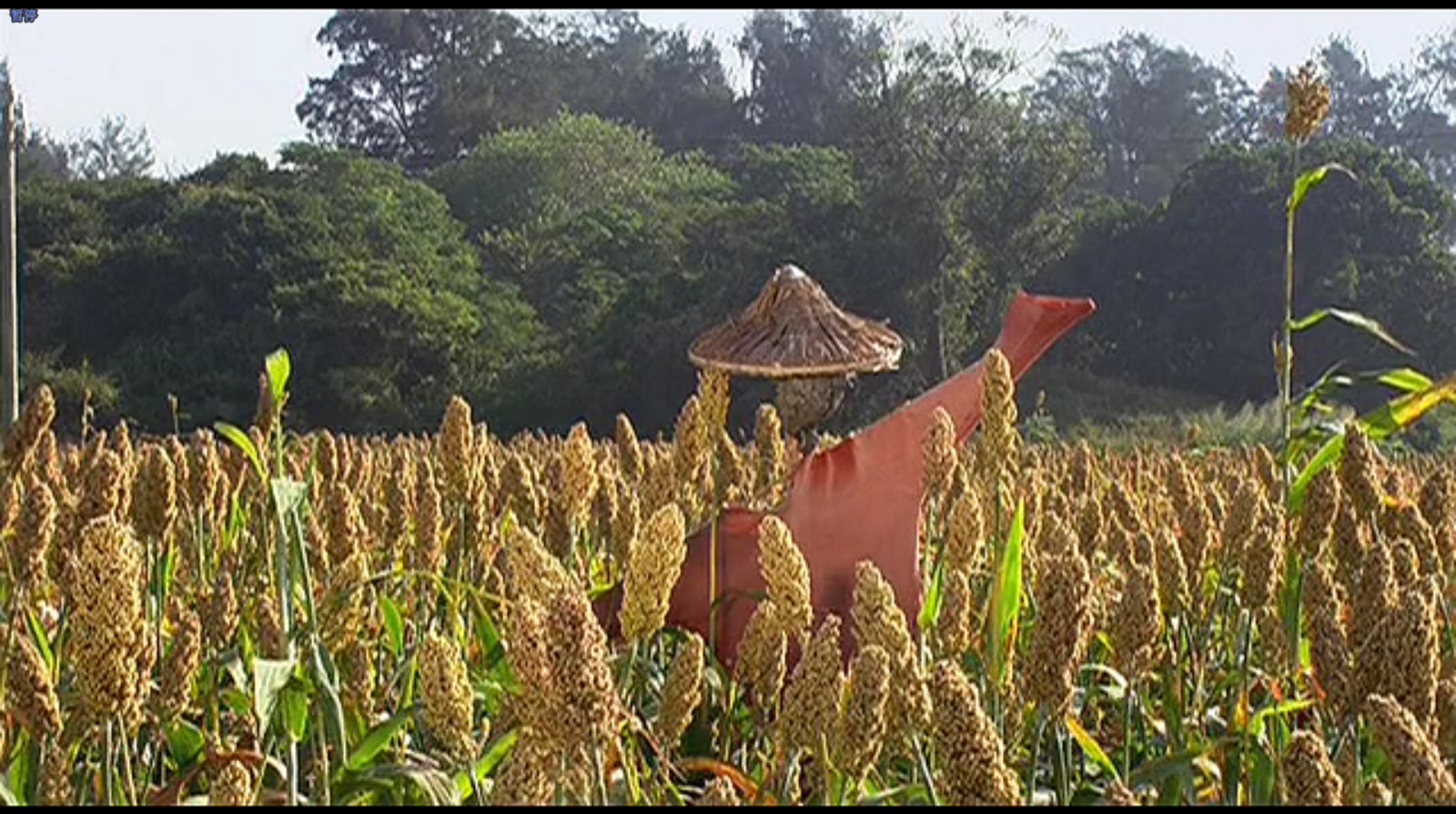 星月无尽剧照的剧照