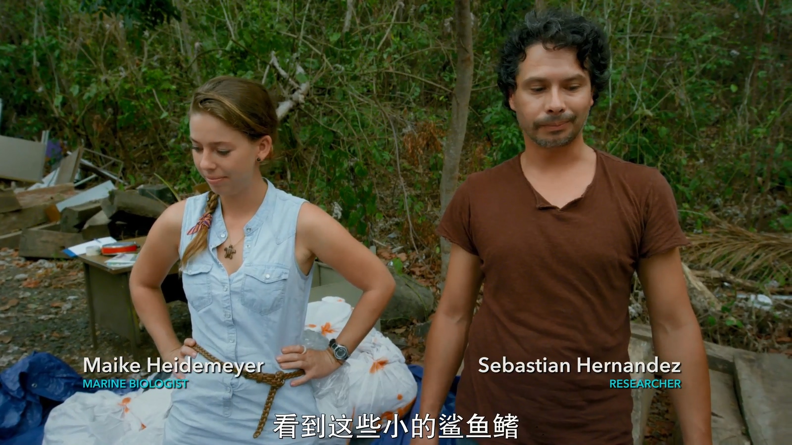 鲨鱼海洋：灭绝剧照的剧照