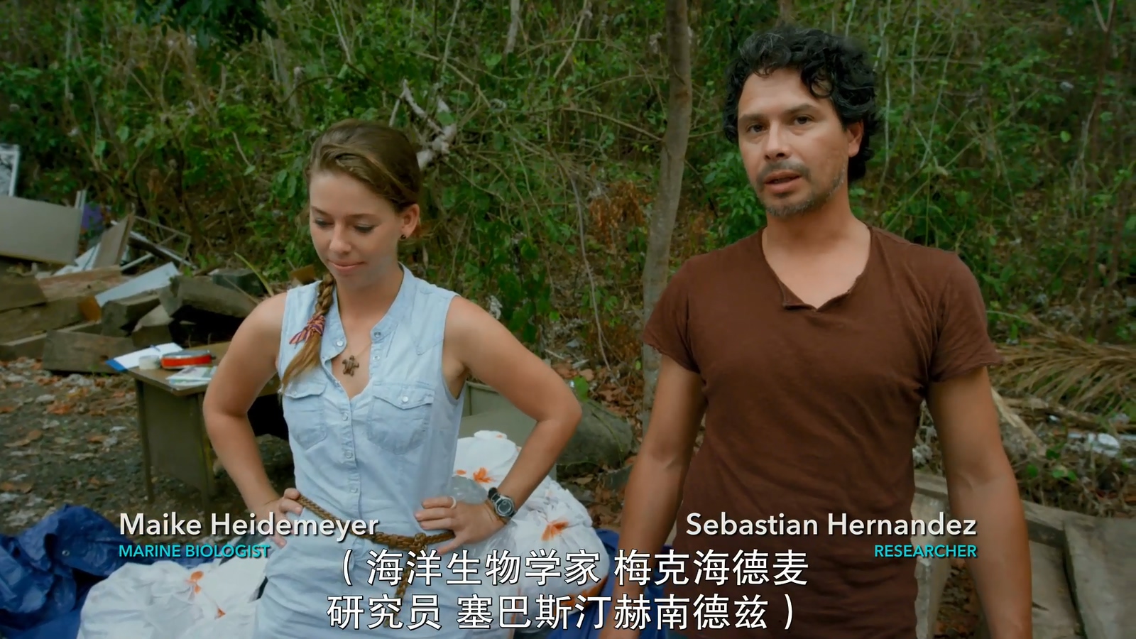 鲨鱼海洋：灭绝剧照的剧照