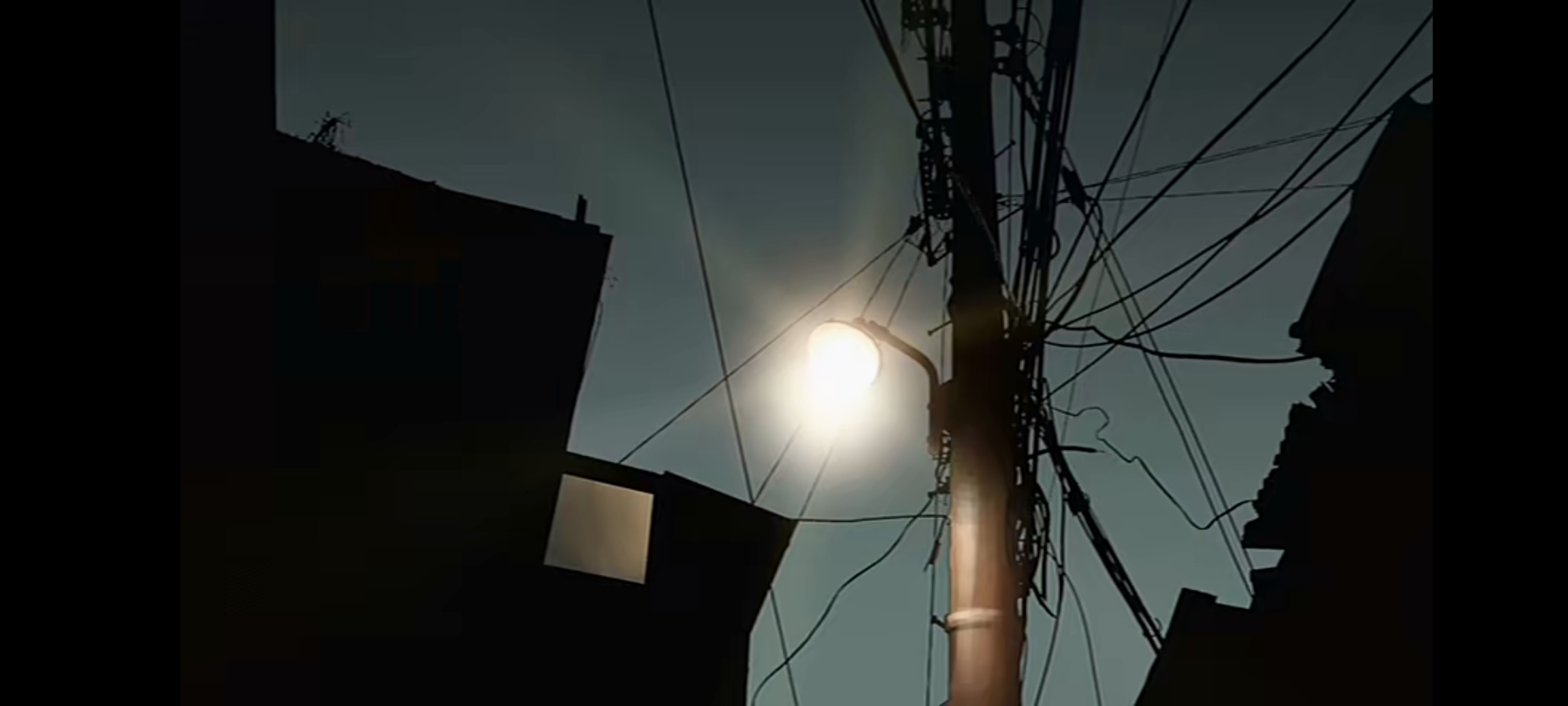 猪猡之王剧照的剧照