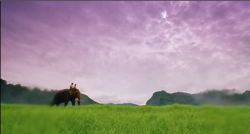 冬荫功剧照的剧照