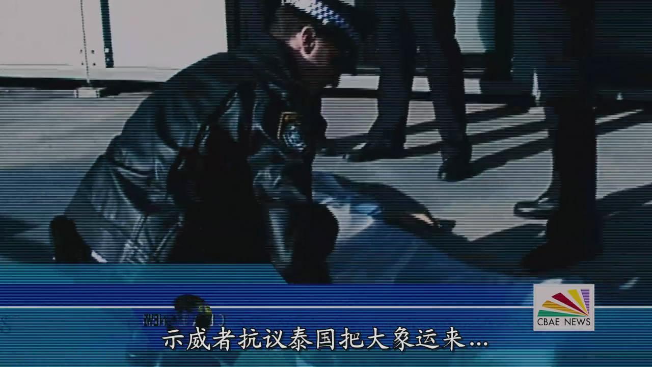 冬荫功剧照的剧照