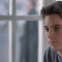 像大黄蜂一样飞走剧照