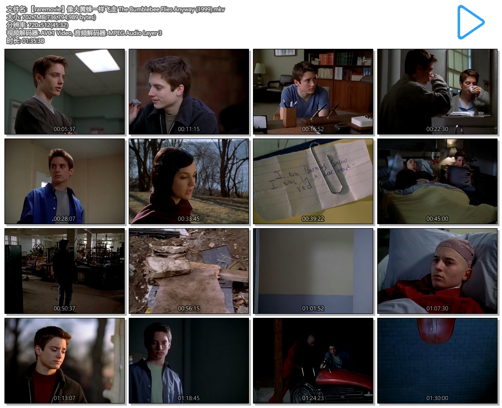 像大黄蜂一样飞走剧照的剧照