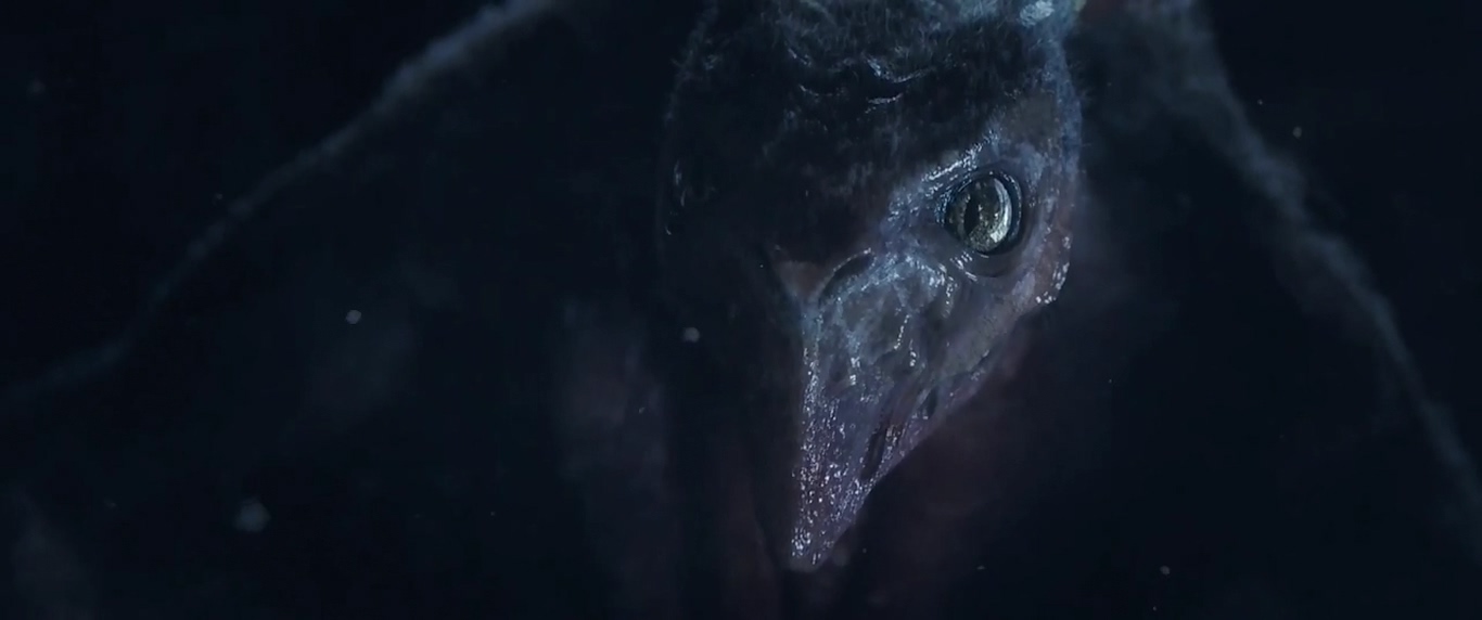 孢尘灭世剧照的剧照