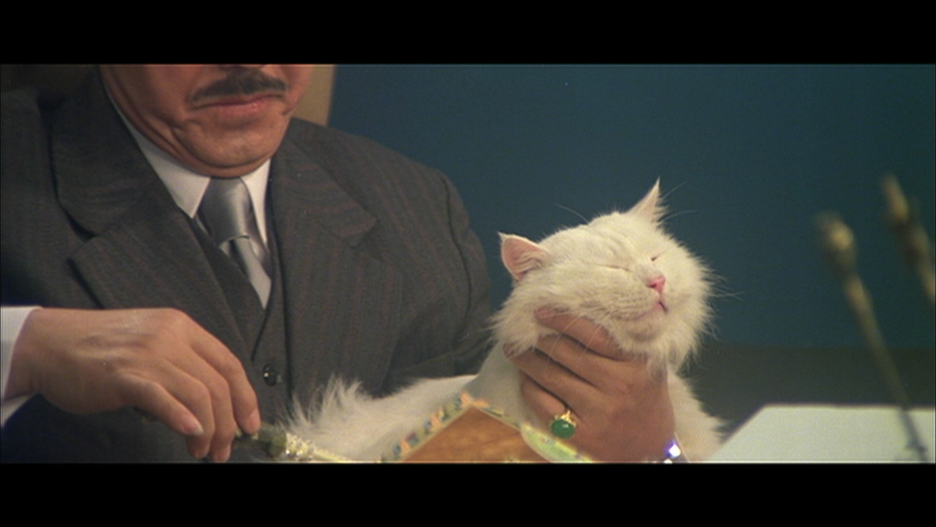 卖身契剧照的剧照