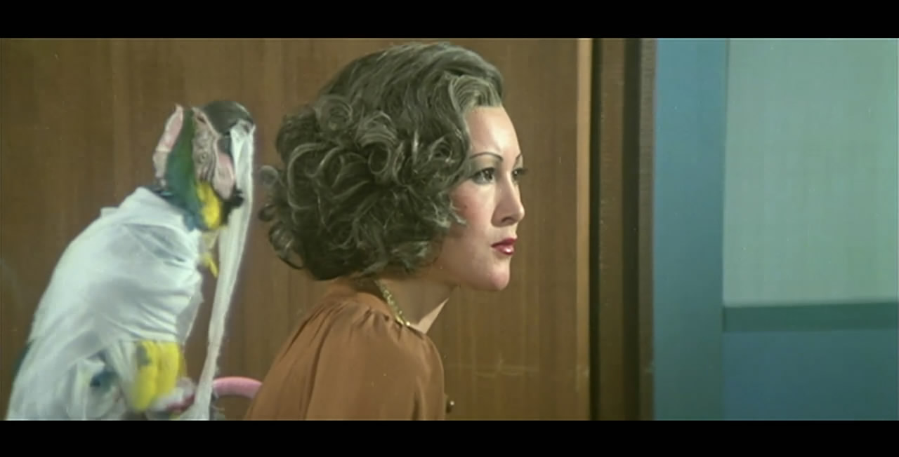 卖身契剧照的剧照