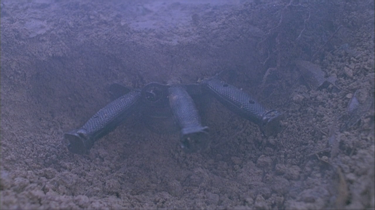 皇家师姐2剧照的剧照