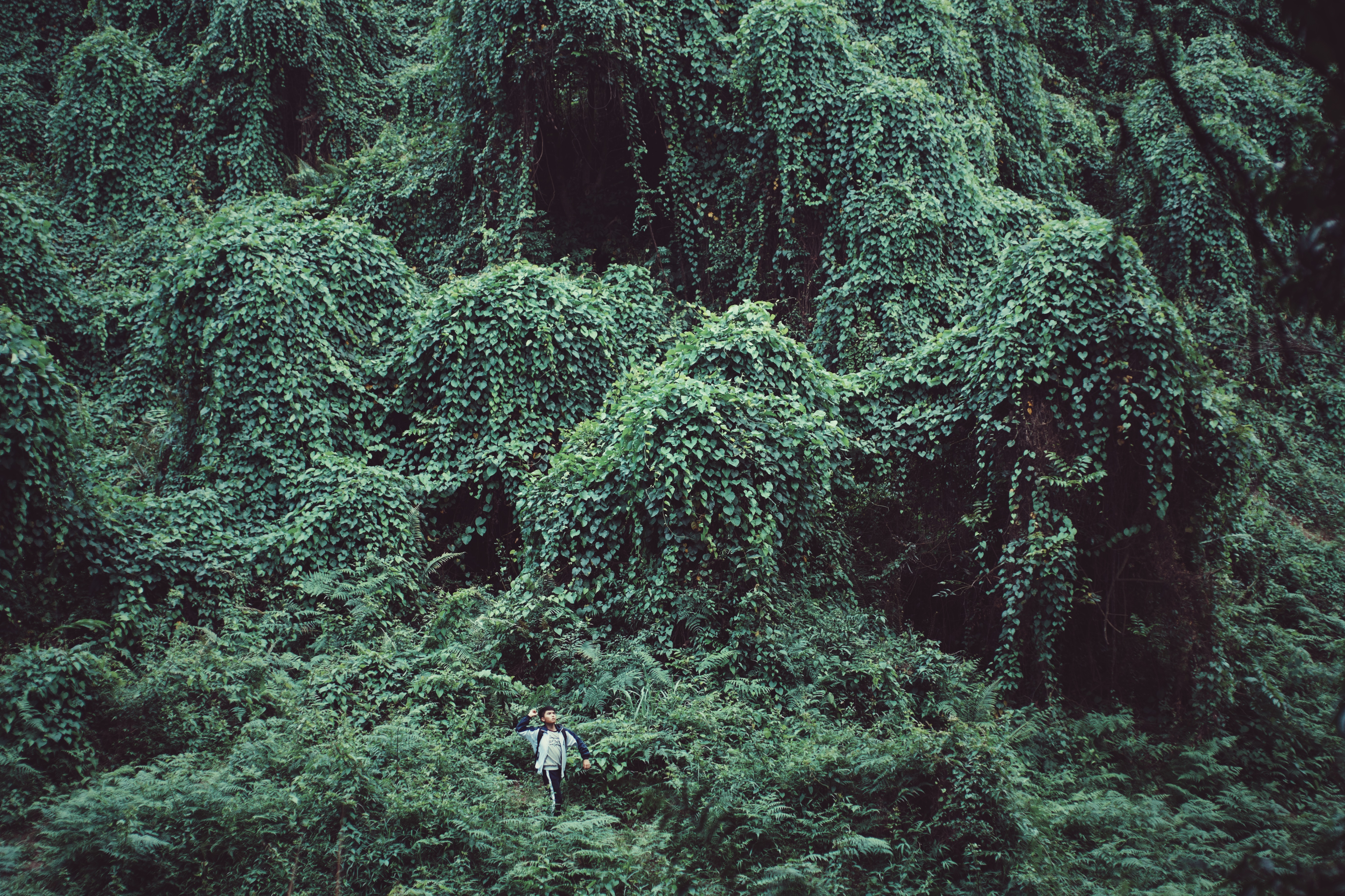 慕伶，一鸣，伟明剧照的剧照