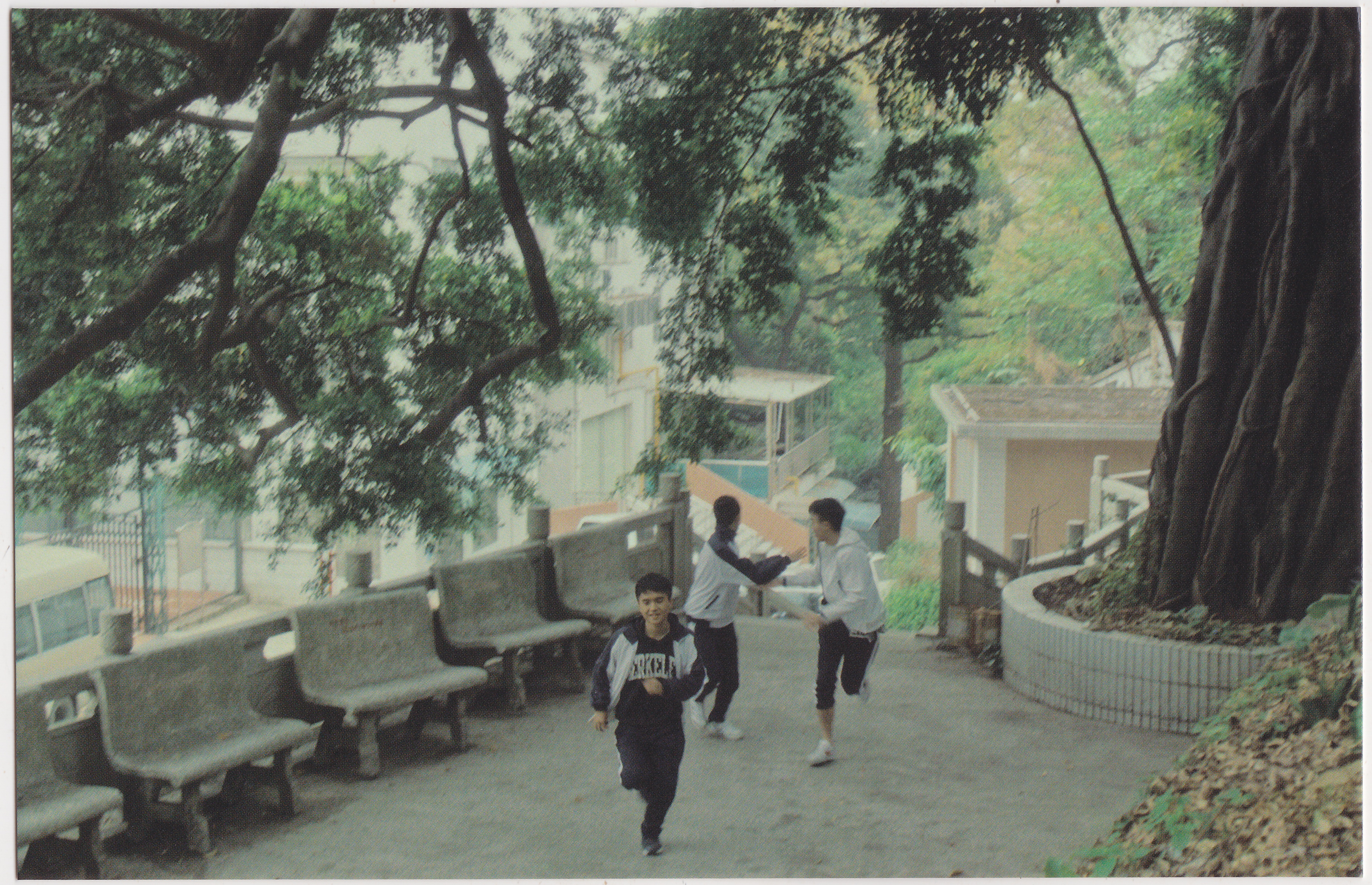 慕伶，一鸣，伟明剧照的剧照