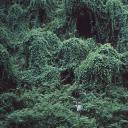 慕伶，一鸣，伟明剧照