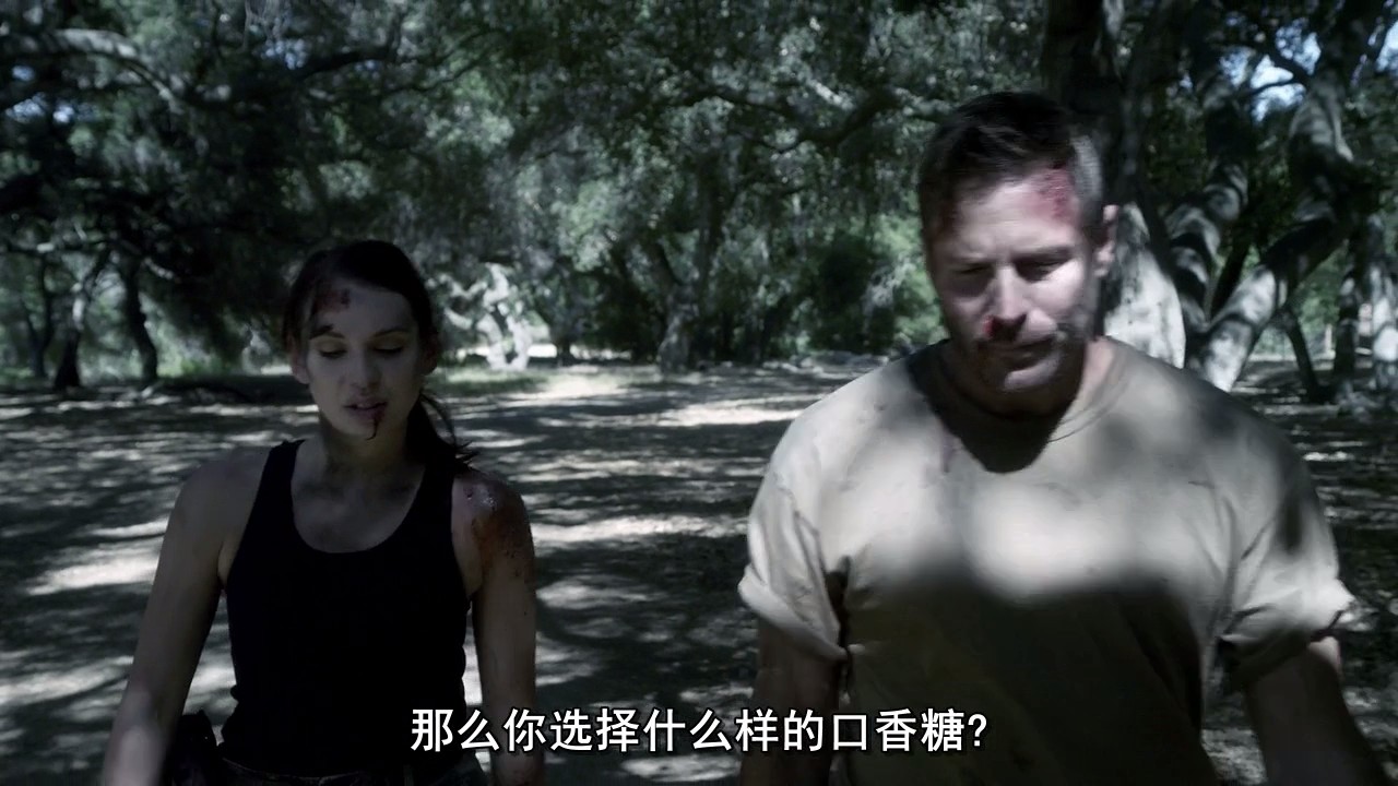 匈奴王·阿提拉剧照的剧照