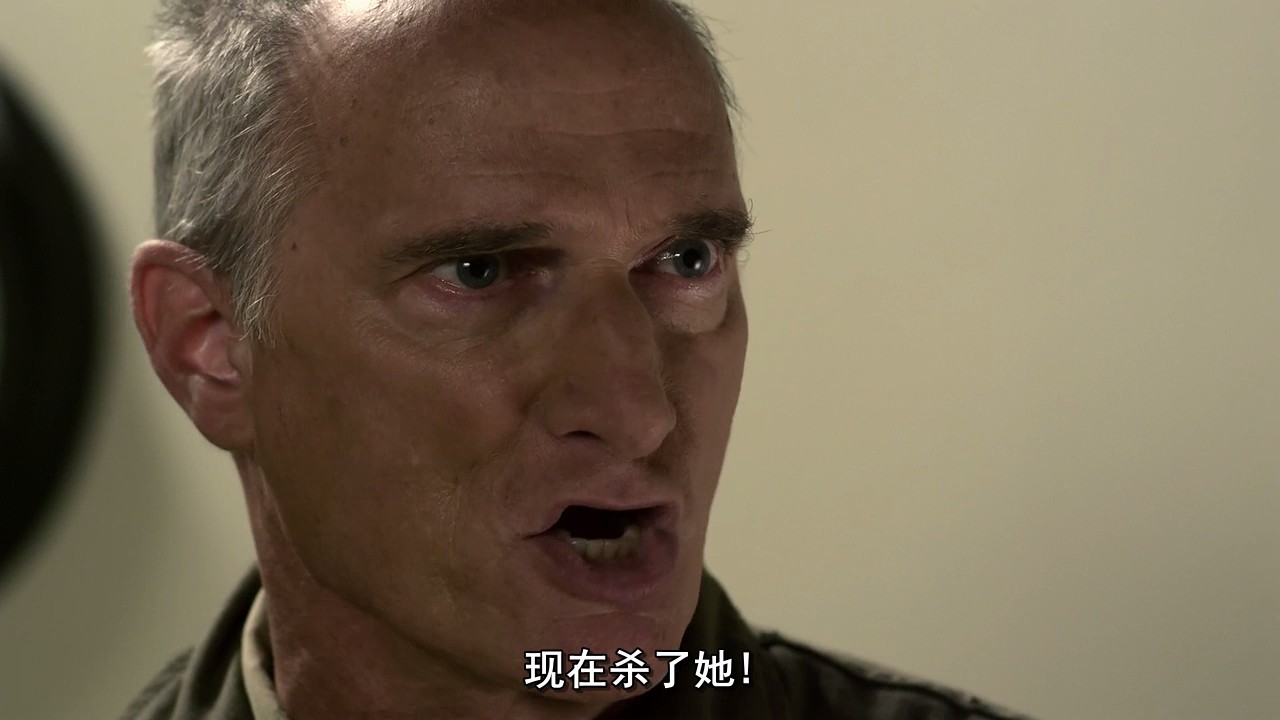 匈奴王·阿提拉剧照的剧照