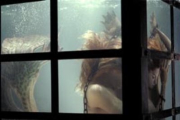 终极人鱼岛剧照的剧照