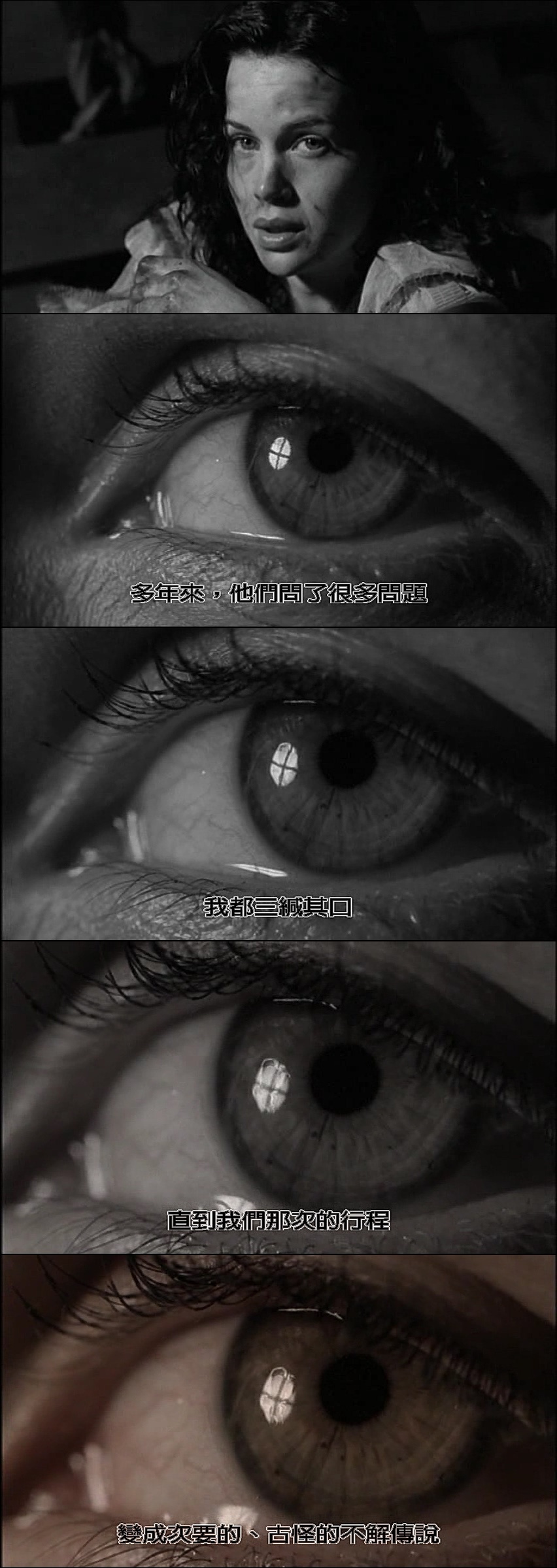 终极人鱼岛剧照的剧照