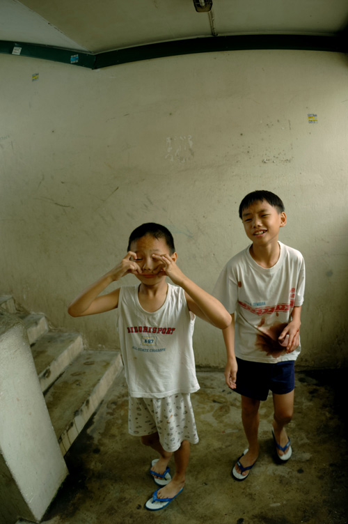 口袋里的花剧照的剧照