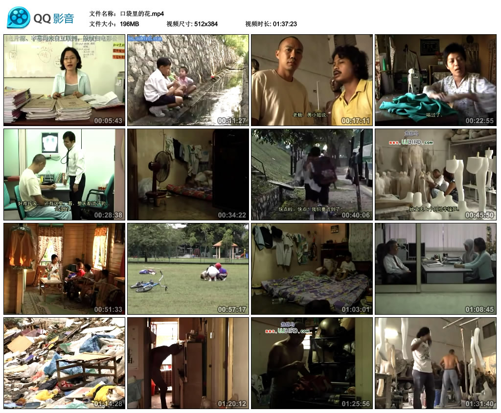 口袋里的花剧照的剧照