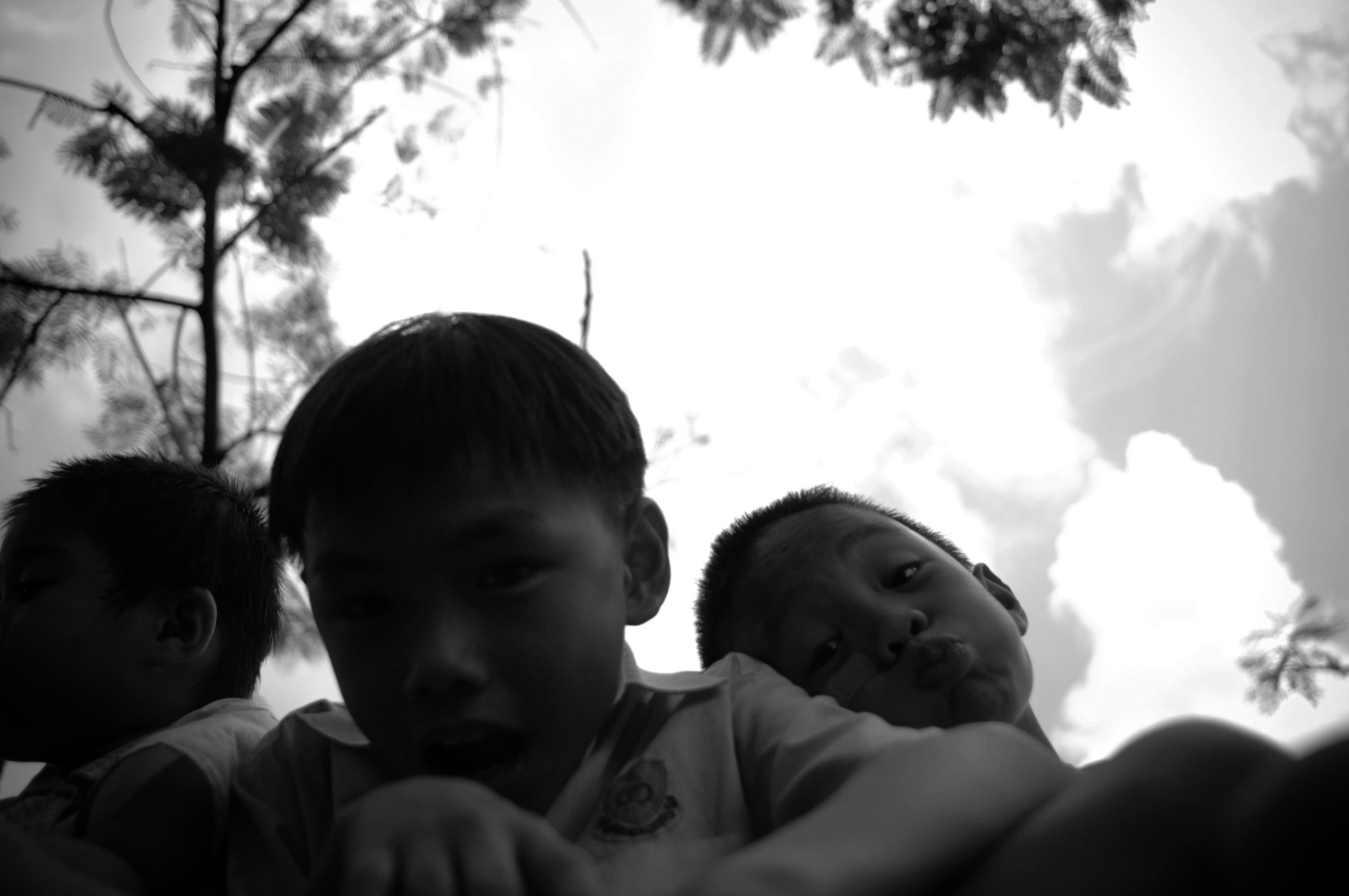 口袋里的花剧照的剧照