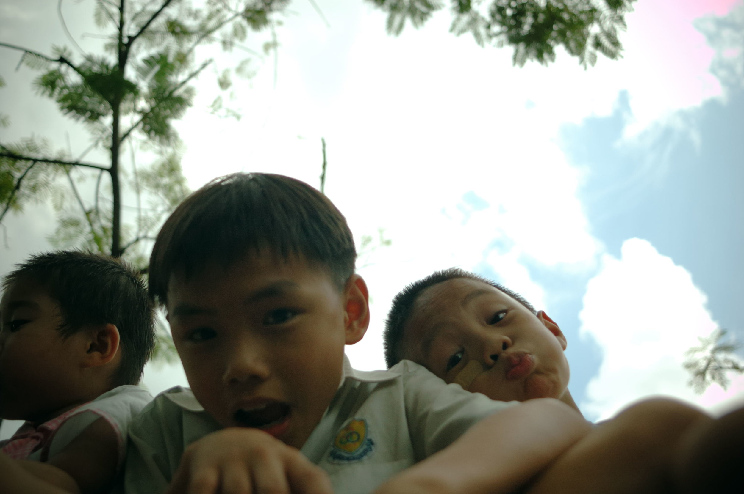 口袋里的花剧照的剧照