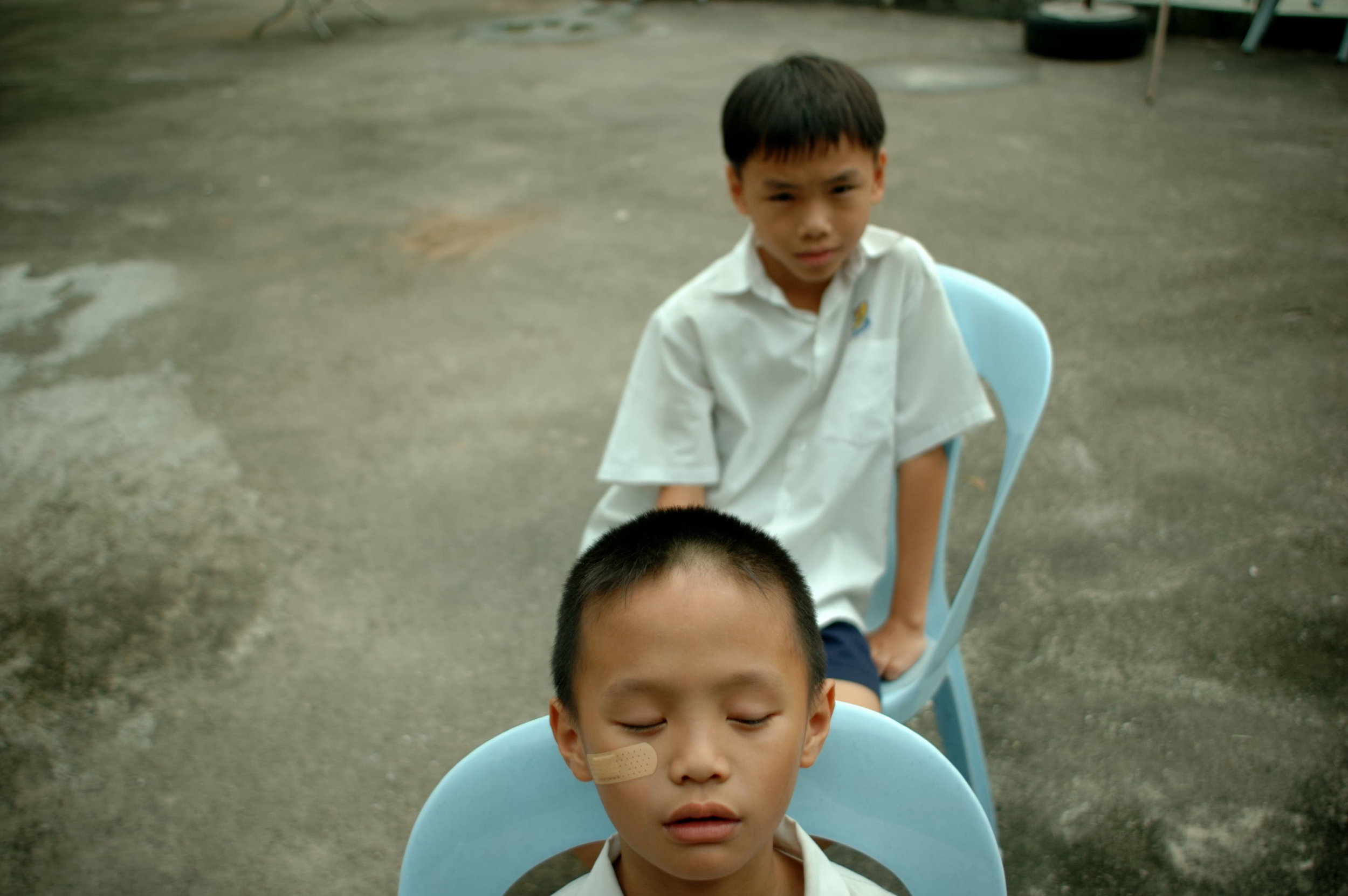 口袋里的花剧照的剧照