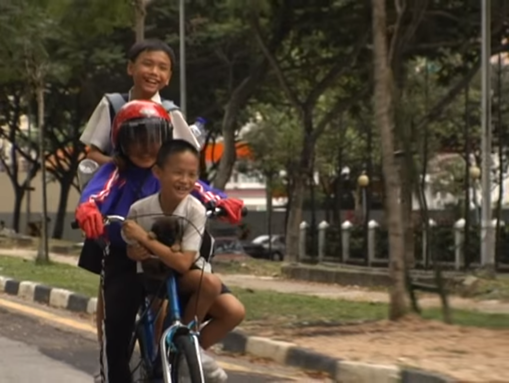 口袋里的花剧照的剧照