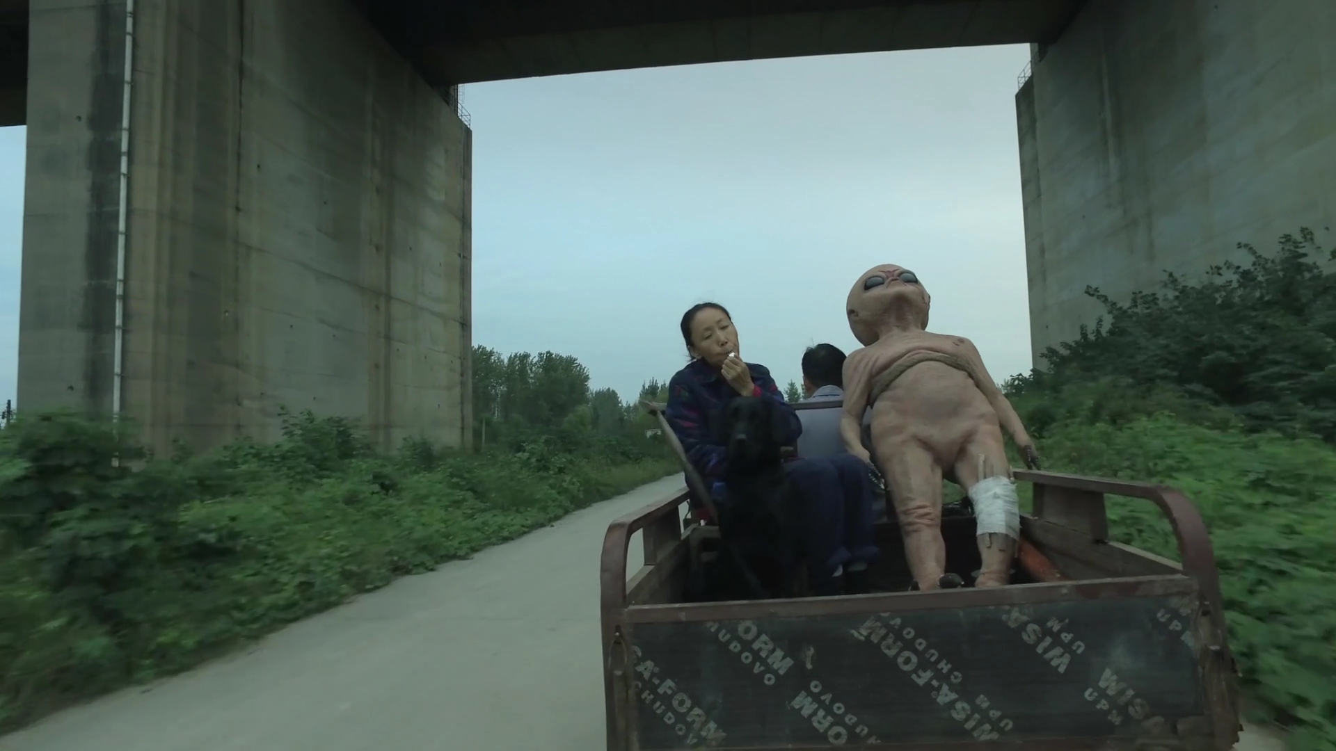 我儿子去了外星球剧照的剧照