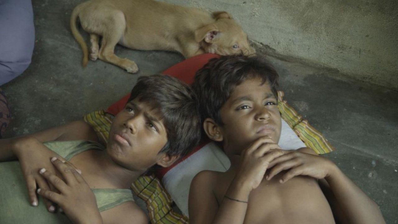 乌鸦蛋剧照的剧照