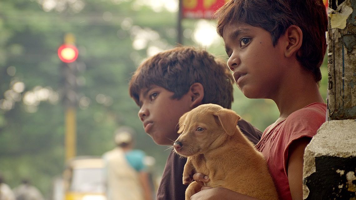 乌鸦蛋剧照的剧照