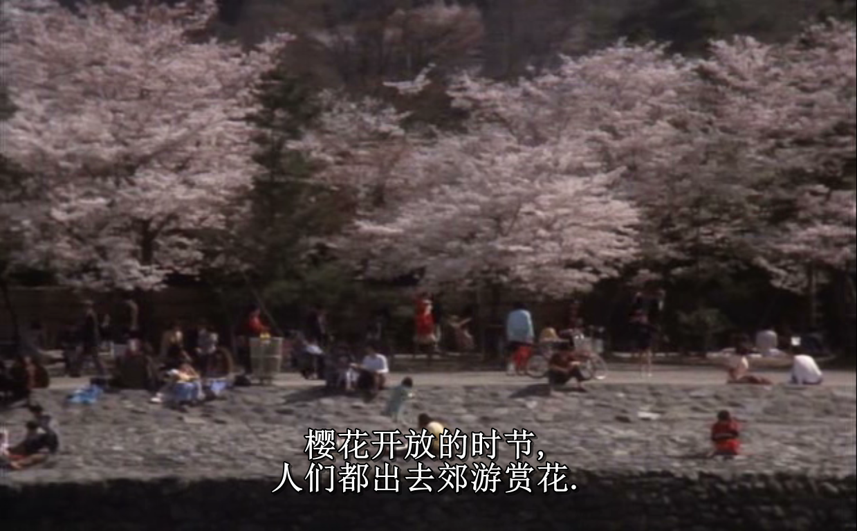 樱之森之满开之下剧照的剧照