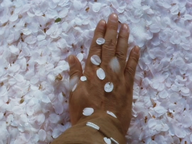 樱之森之满开之下剧照的剧照