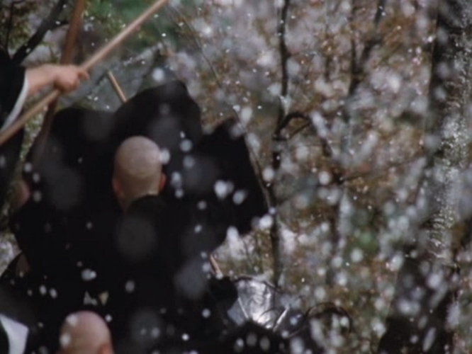 樱之森之满开之下剧照的剧照