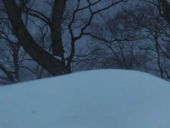 樱之森之满开之下剧照的剧照