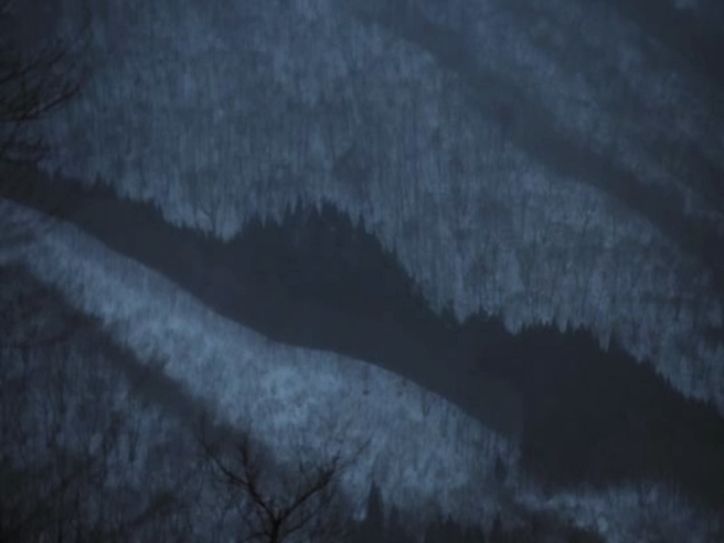 樱之森之满开之下剧照的剧照