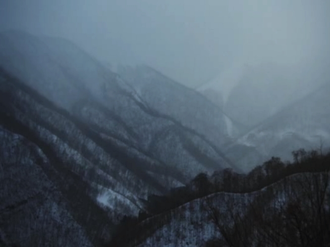 樱之森之满开之下剧照的剧照