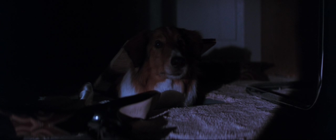 致命武器2剧照的剧照