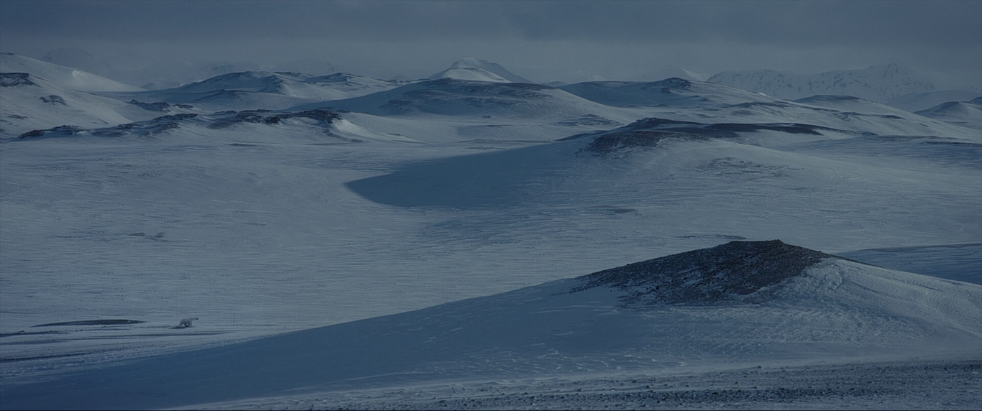 北极剧照的剧照
