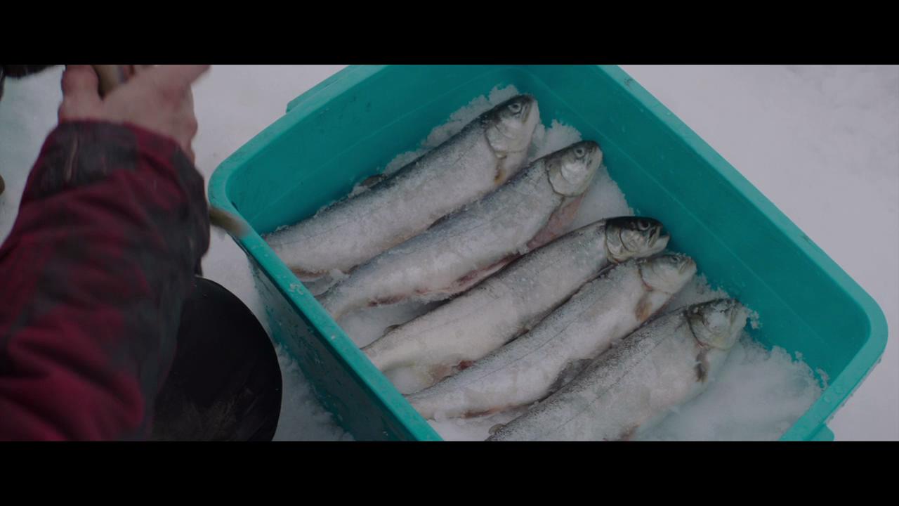 北极剧照的剧照