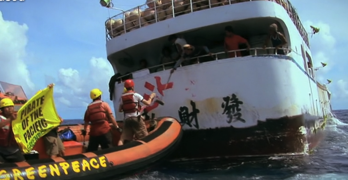 寿司与全球渔获剧照的剧照