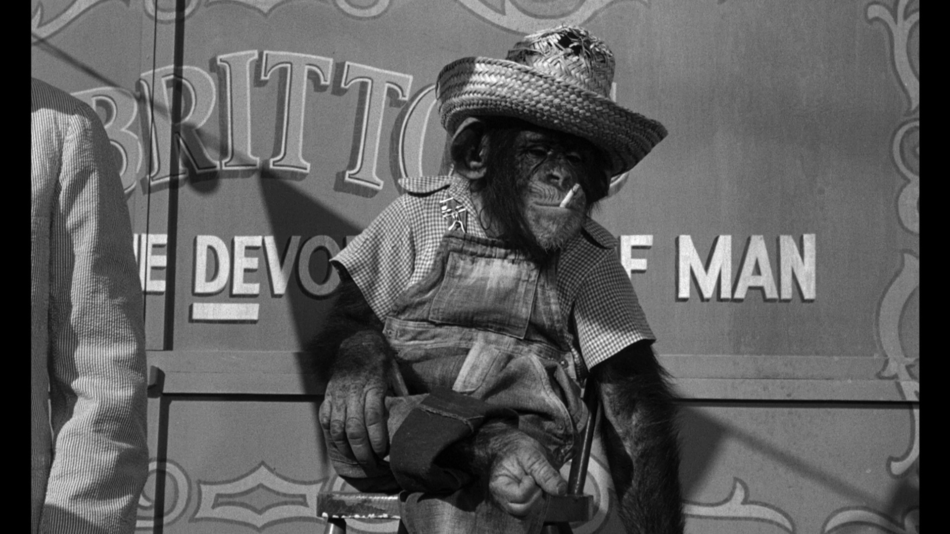 风的传人剧照的剧照