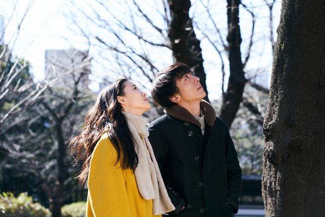 爱情人偶剧照的剧照