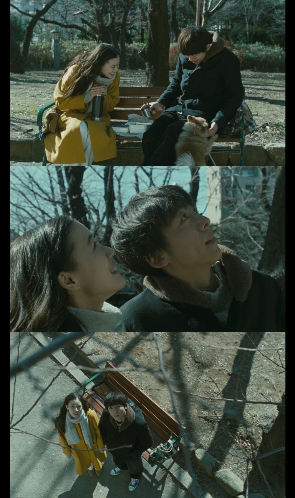 爱情人偶剧照的剧照