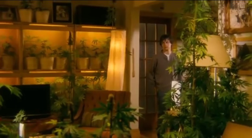 我家种大麻剧照的剧照