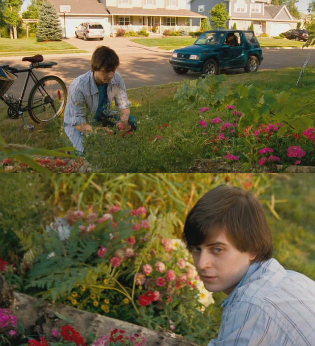 我家种大麻剧照的剧照